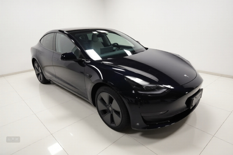 Tesla Model 3 2023 immagine di auto #4