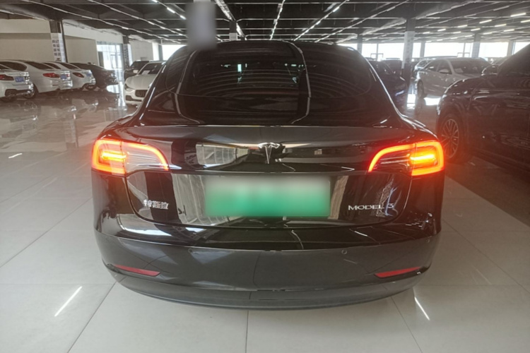 Tesla Model 3 2021 #4 Tesla Model 3 2021 car image #4