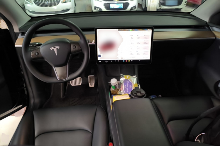 Tesla Model Y 2022 car image #11