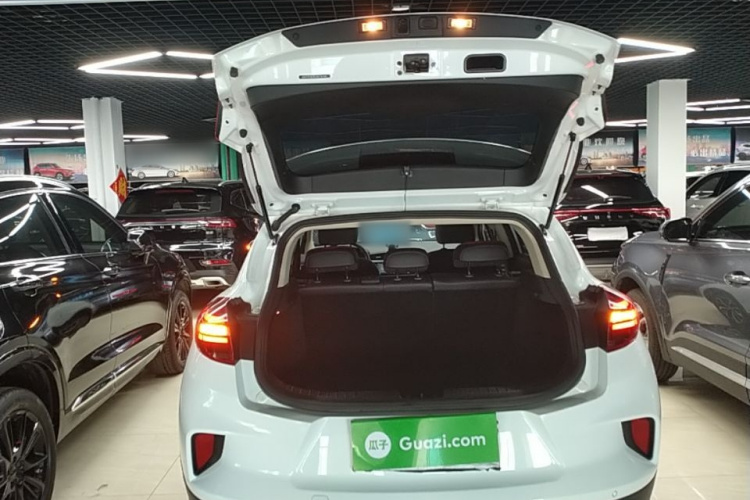 GEELY Emgrand GS 2020 car image #19