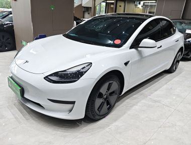 Tesla Model 3 2022 car image 