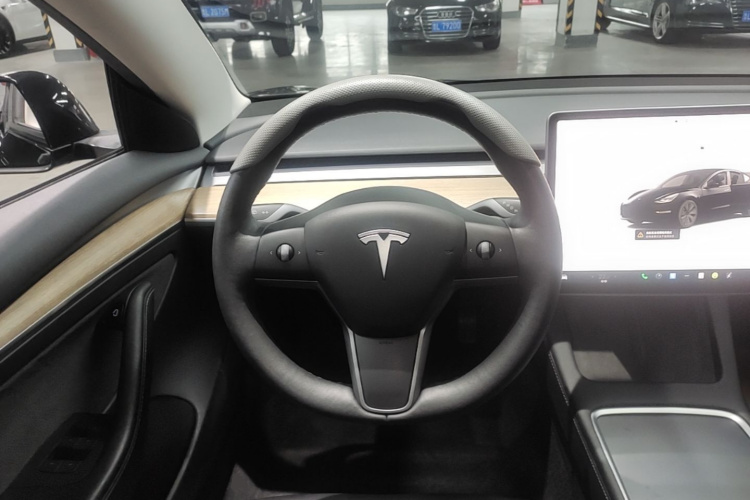 Tesla Model 3 2022 #15 Tesla Model 3 2022 car image #15