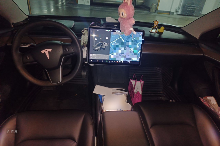 Tesla Model 3 2021 car image #11