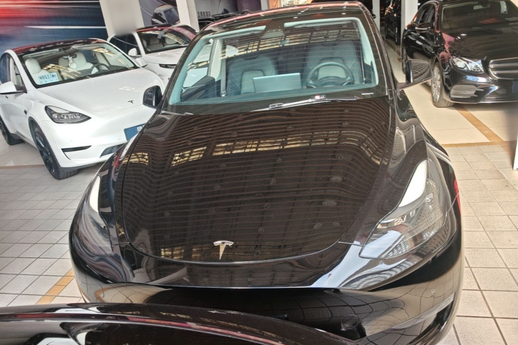 Tesla Model Y 2021 #3 Tesla Model Y 2021 car image #3