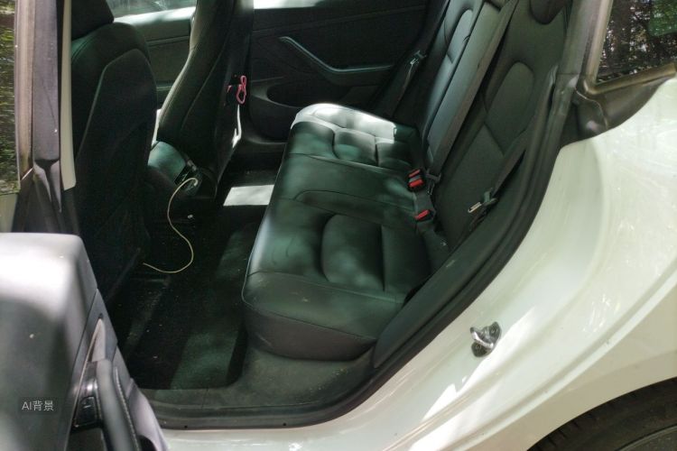 Tesla Model 3 2020 immagine di auto #19
