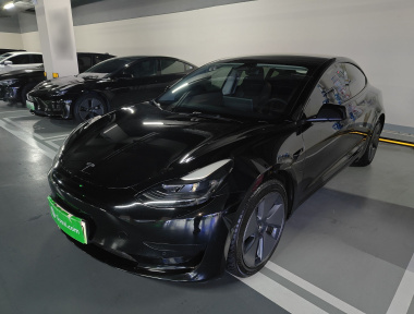 Tesla Model 3 2022 car image 