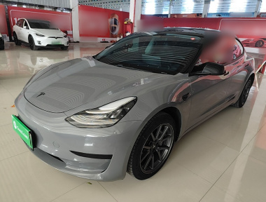 Tesla Model 3 2020 car image 