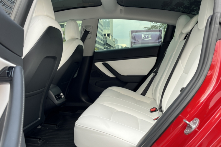 Tesla Model 3 2020 car image #14