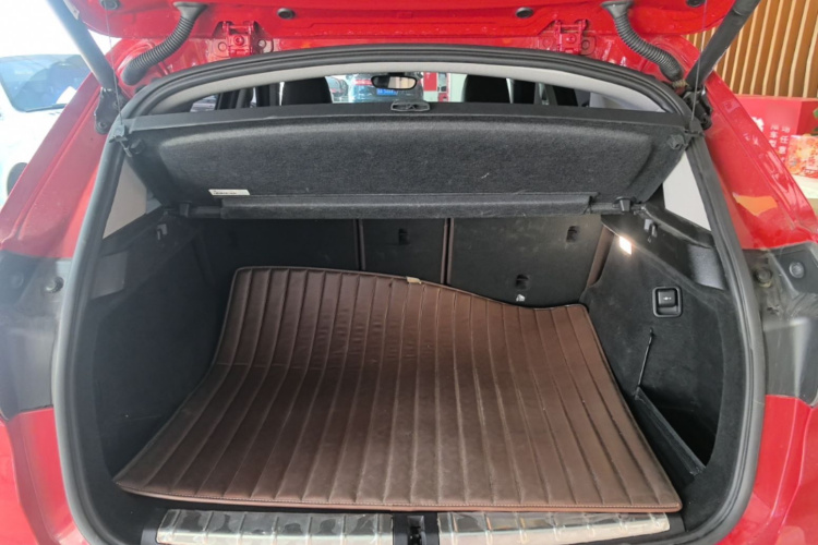 BMW X1 2017 car image #19