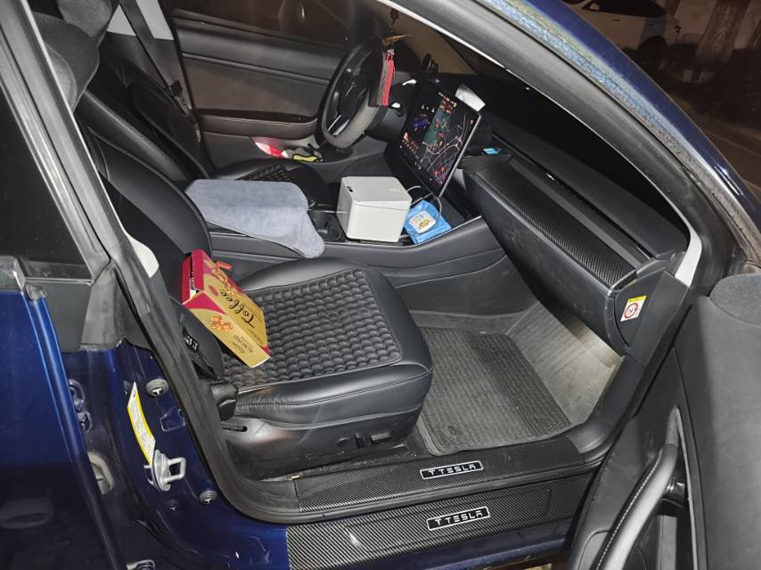 Tesla Model 3 (Imported) 2019 #7 Tesla Model 3 (Imported) 2019 imagem de carro #7