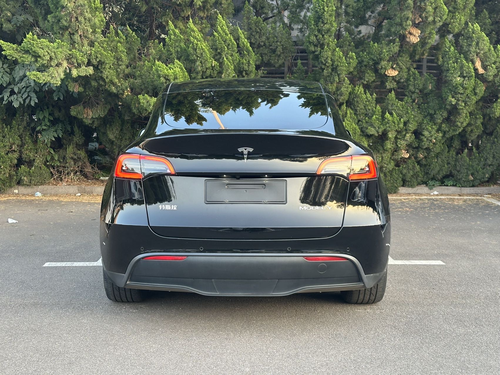 Tesla Model Y 2021 car image #7