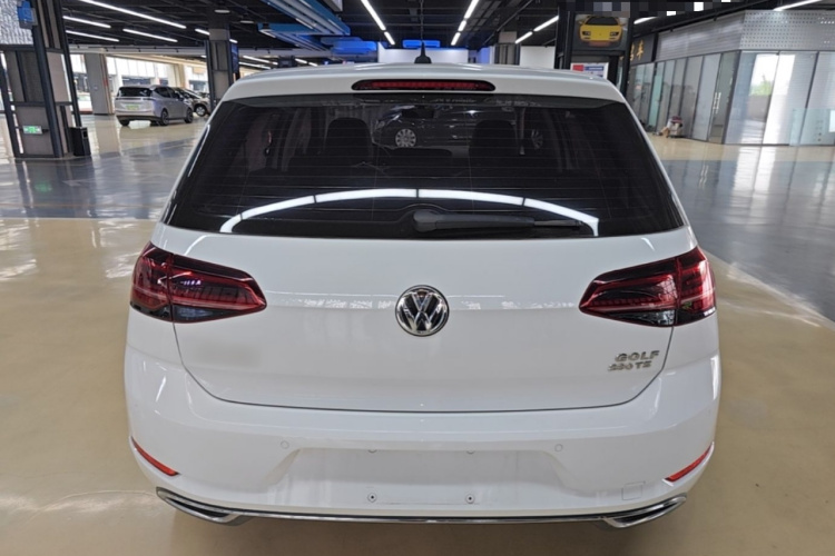 Volkswagen Golf 2019 car image #6