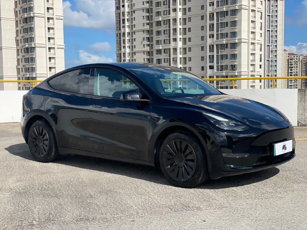 Tesla Model Y 2021 car image #3