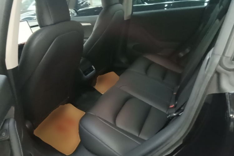 Tesla Model 3 2021 #17 Tesla Model 3 2021 car image #17