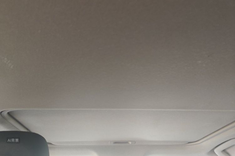 Toyota Corolla 2017 car image #20