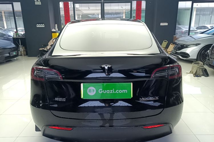 Tesla Model Y 2021 car image #6
