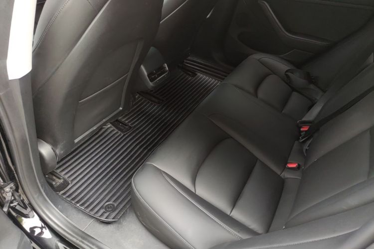 Tesla Model 3 2021 imagem de carro #13