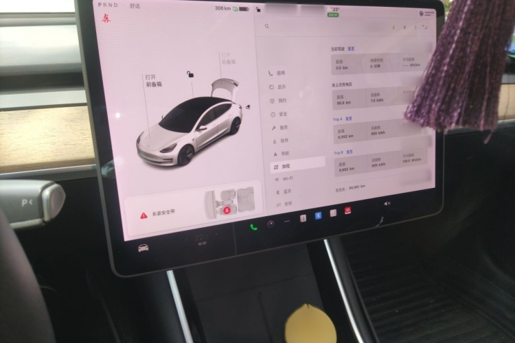 Tesla Model 3 2020 car image #14