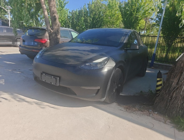 Tesla Model Y 2021 car image 