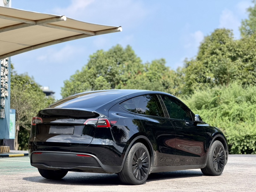 Tesla Model Y 2023 #4 Tesla Model Y 2023 car image #4
