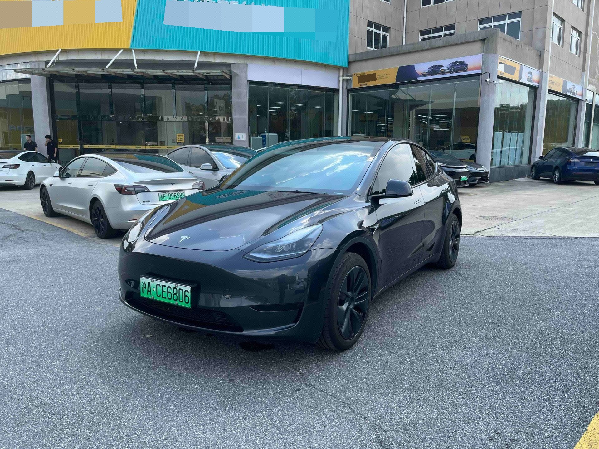 Tesla Model Y 2024 Tesla Model Y 2024 car image