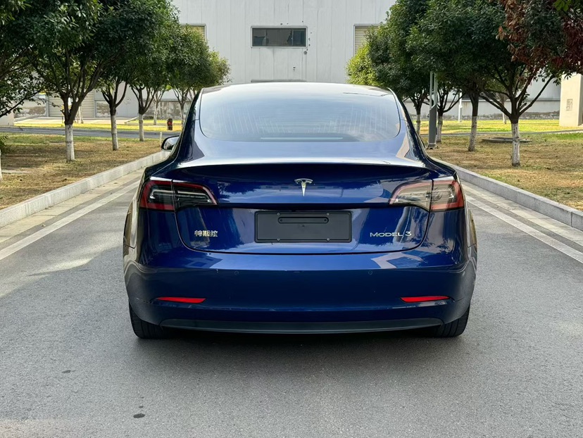 Tesla Model 3 2020 #5 Tesla Model 3 2020 car image #5