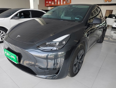Tesla Model Y 2024 Tesla Model Y 2024 car image