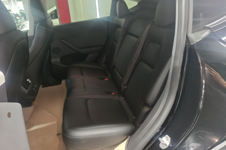 Tesla Model Y 2023 #17 Tesla Model Y 2023 car image #17