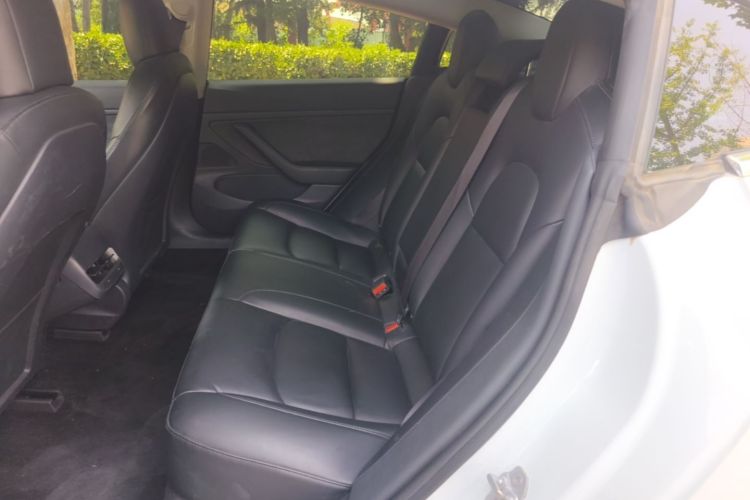 Tesla Model 3 2020 #17 Tesla Model 3 2020 car image #17