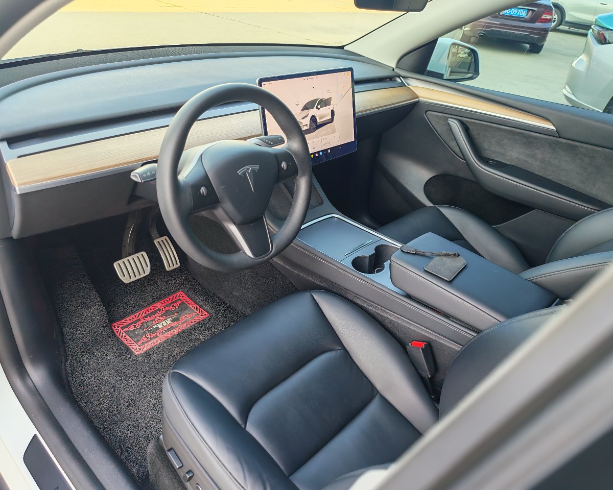 Tesla Model Y 2022 car image #6