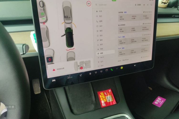 Tesla Model 3 2021 car image #15