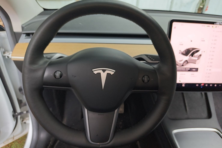 Tesla Model Y 2022 #15 Tesla Model Y 2022 car image #15