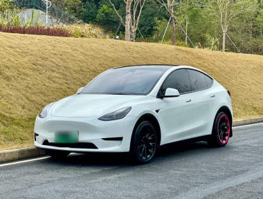 Tesla Model Y 2023 car image 