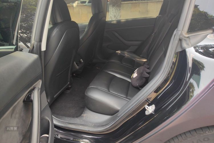 Tesla Model 3 2020 #19 Tesla Model 3 2020 car image #19