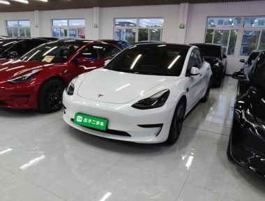Tesla Model 3 2022 immagine di auto 