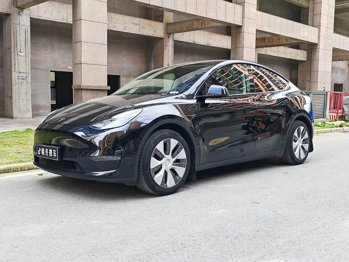 Tesla Model Y 2021 car image 