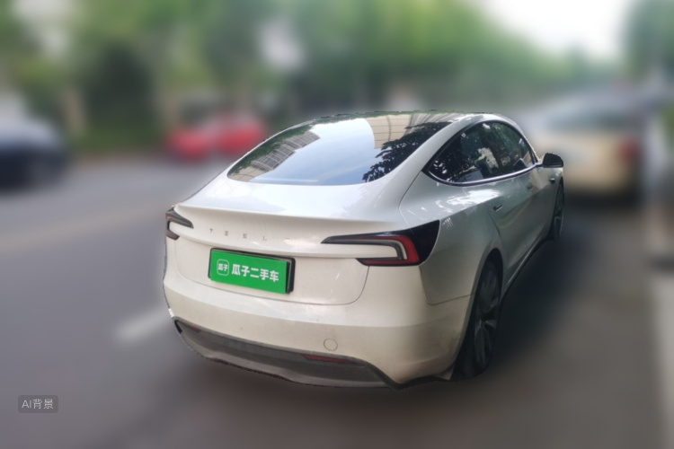 Tesla Model 3 2023 car image #7