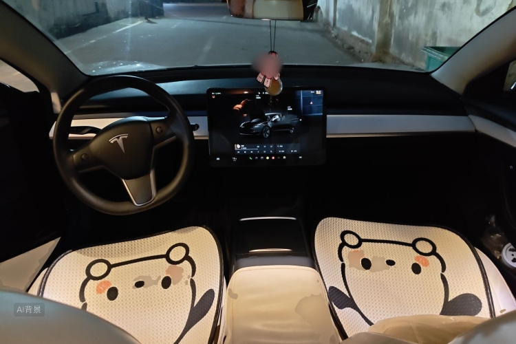Tesla Model 3 2022 car image #11