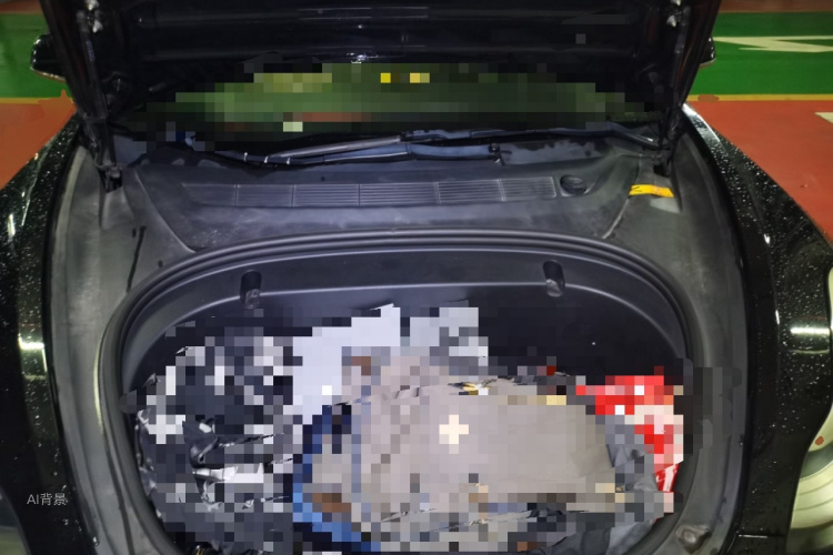 Tesla Model 3 2020 car image #22