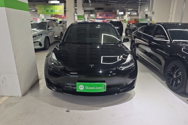 Tesla Model 3 2021 #3 Tesla Model 3 2021 car image #3