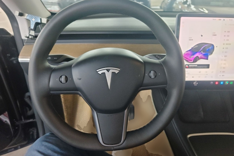 Tesla Model Y 2021 car image #11