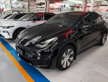 Tesla Model Y 2022 car image 