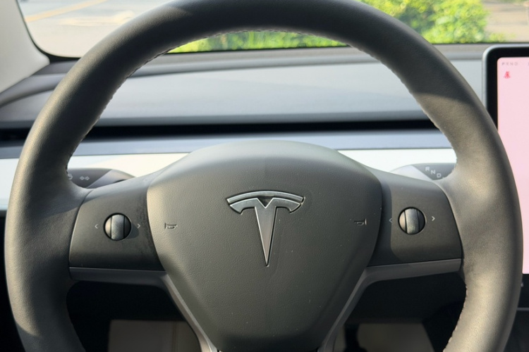 Tesla Model 3 2023 #16 Tesla Model 3 2023 car image #16