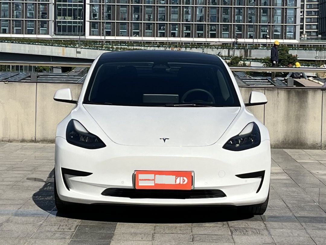Tesla Model 3 2021 car image #5