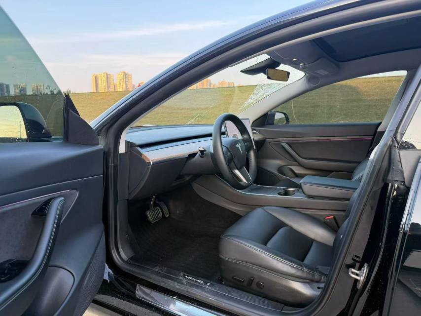 Tesla Model 3 2020 car image #2