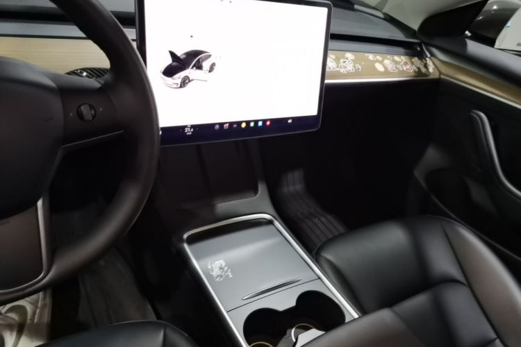 Tesla Model 3 2023 immagine di auto #13