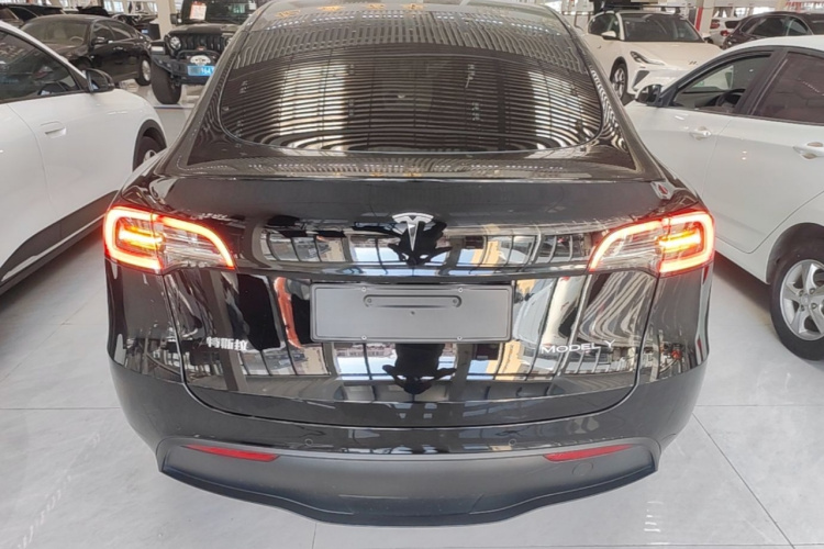 Tesla Model Y 2023 car image #6
