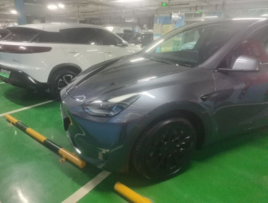 Tesla Model Y 2021 Tesla Model Y 2021 car image