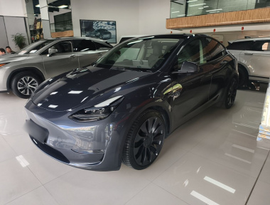 Tesla Model Y 2022 Tesla Model Y 2022 car image