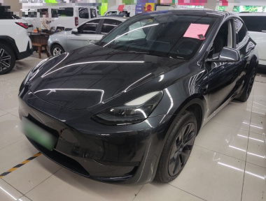 Tesla Model Y 2024 Tesla Model Y 2024 car image